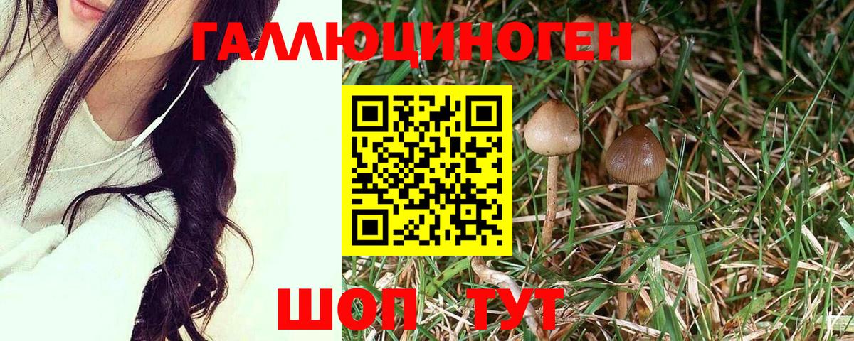 Псилоцибиновые грибы MAGIC MUSHROOMS  Псилоцибиновые грибы мухоморы  Лабытнанги  Вход с VPN 