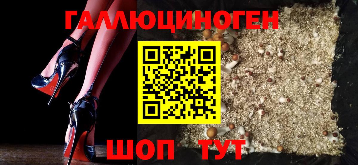 Галлюциногенные грибы Psilocybe Лабытнанги